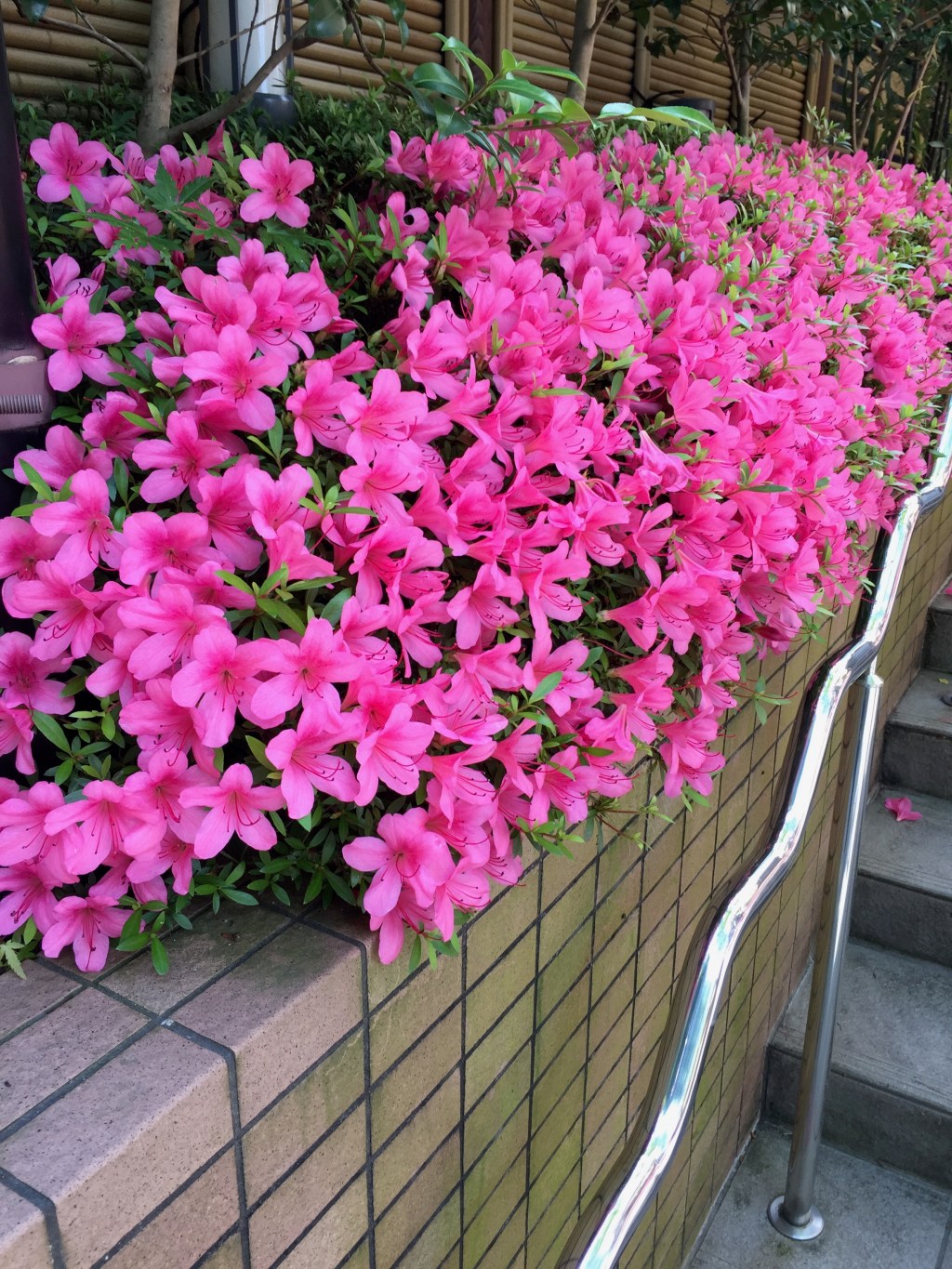 退官する小児科教授を送る